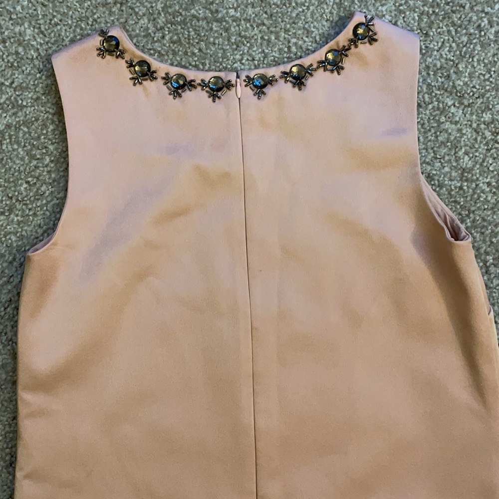 ✨Ann Taylor Blush Dress✨ - Picture 9 of 16
